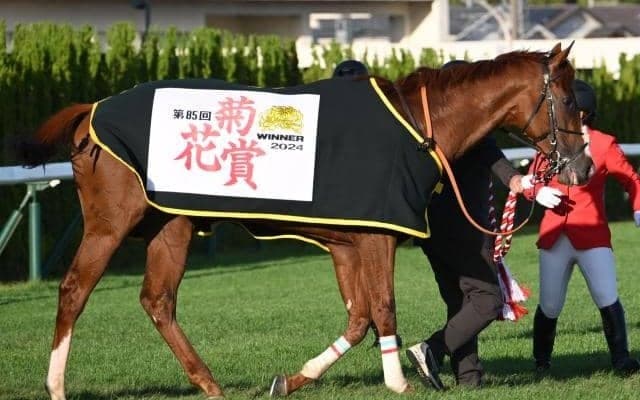 【有馬記念前日オッズ】アーバンシックが2.8倍で1番人気