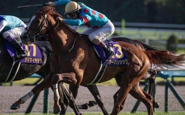 【AI予想・有馬記念】一気に混戦ムードとなったグランプリ 複勝率100%のデータに該当した本命候補とは
