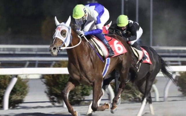 【高知・鏡川特別】マジックセブンが準重賞勝利