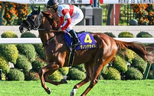 【今日の注目ポイント】年末の総決算・グランプリ有馬記念