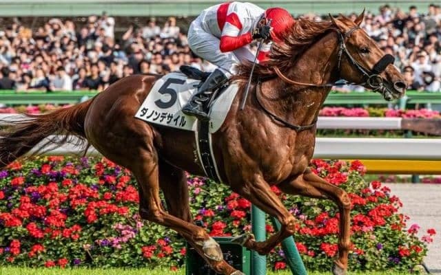 【有馬記念予想】ファンが選んだ夢の対決！ 今年はどんなドラマが待ち受けるか