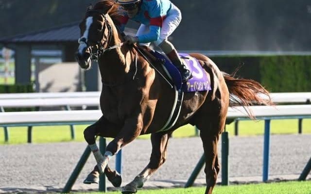 【有馬記念・馬体重】アーバンシックは516kg(+6)、ダノンデサイルは520kg(-2)