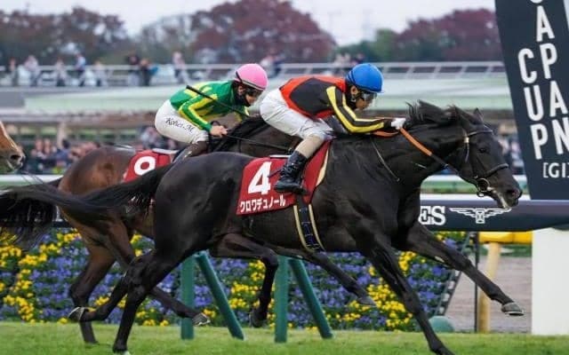 2歳中距離王者決定戦・ホープフルS/今週の競馬界の見どころ
