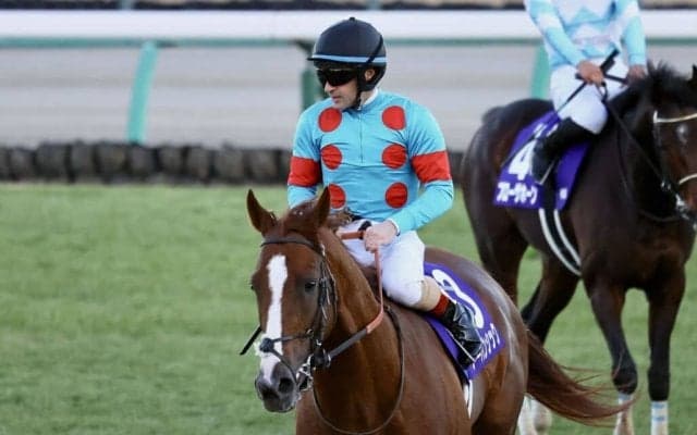 【有馬記念】ルメール「超スローペースになった」レース後ジョッキーコメント