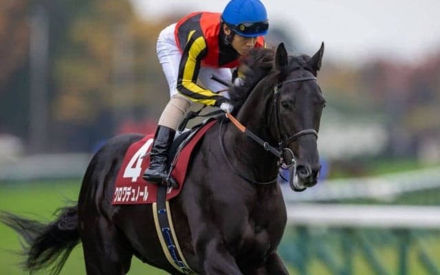 【ホープフルS登録馬】クロワデュノールなど19頭