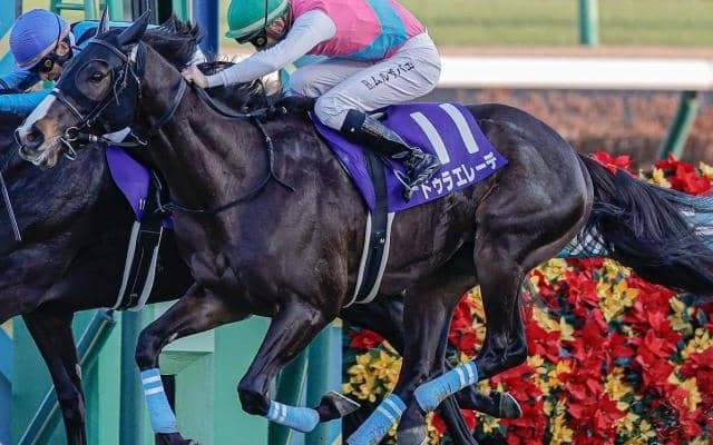 3連単は約250万円！ GI昇格後に唯一荒れたホープフルS