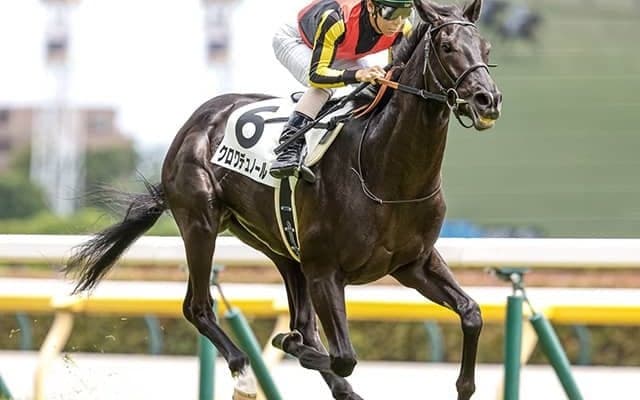 【ホープフルS想定騎手】クロワデュノールは北村友一騎手、マスカレードボールは戸崎圭太騎手