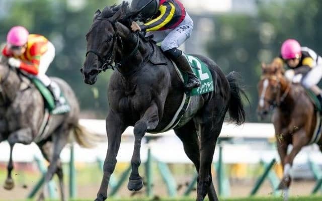 【ホープフルS見どころ】札幌2歳S覇者マジックサンズが3連勝でのGI奪取を狙う