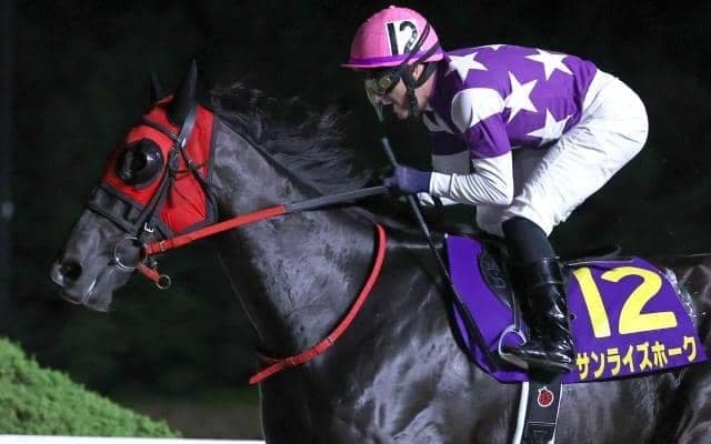 【園田・兵庫GT枠順】サンライズホークは1枠1番、アラジンバローズは4枠4番