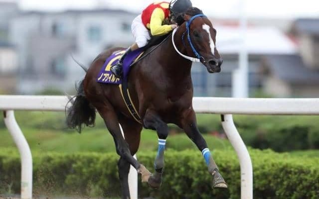 TUBE・前田亘輝氏の愛馬ノブワイルドが死亡 浦和競馬場内に献花台設置