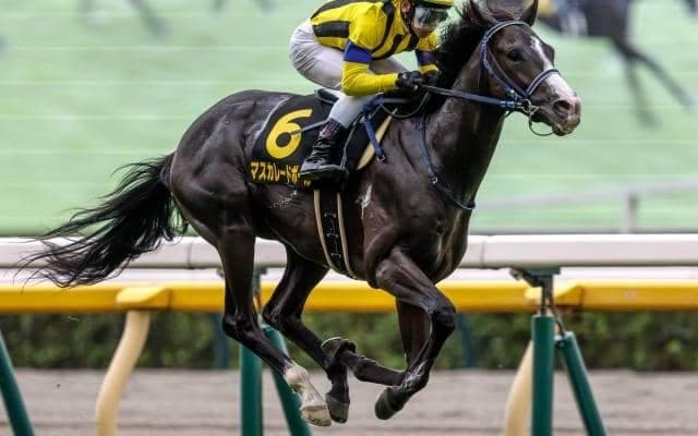 【AI予想・ホープフルS】前走の人気や生産牧場に顕著な傾向あり！ 人工知能は無敗馬3頭を高評価