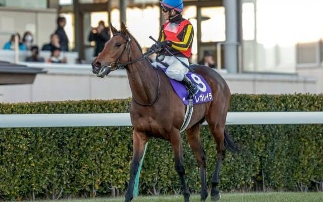 3歳牝馬による歴史的な有馬記念V レガレイラから学ぶスワーヴリチャード産駒の成功パターンとは