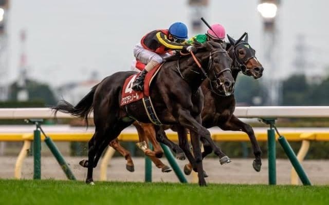  【ホープフルS展望】好走条件そろったクロワデュノールが無傷3連勝に挑む
