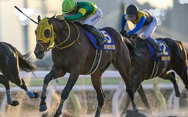 東京大賞典は12月29日「福の日」開催 近10年の2と9の成績を調べてみると