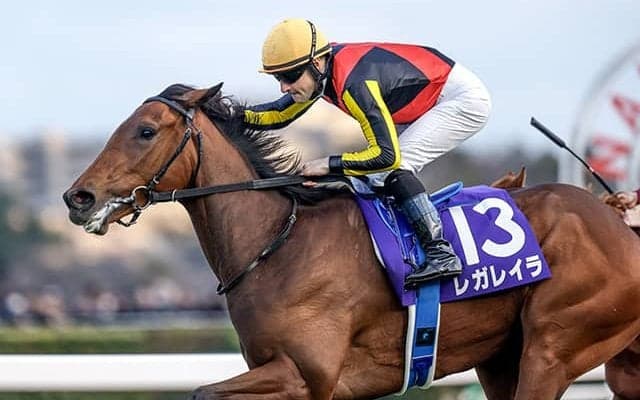 武豊騎手のJRA・GI完全制覇へのチャレンジも 牝馬の2歳混合GI挑戦史