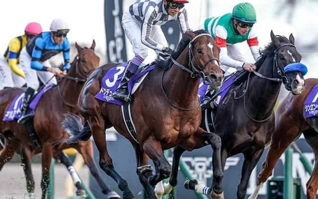 ドウデュースの初年度種付け料は1000万円 社台SSが発表