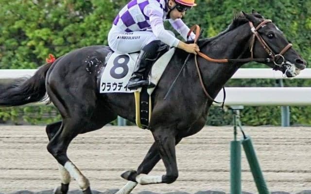 史上初のホープフルS父仔制覇へ 京都2歳Sで3着のサートゥルナーリア産駒が参戦