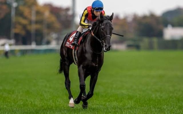 【ホープフルS予想オッズ】クロワデュノールが予想1番人気