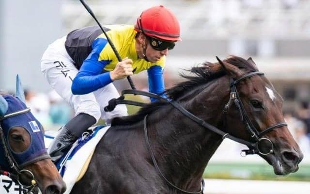 テン乗りでも問題なし！ 三冠牝馬の仔とC.ルメール騎手が“クラシック候補”に名乗りを上げる