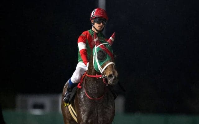 【兵庫ゴールドトロフィー】60キロ・ラプタスは5枠5番へ