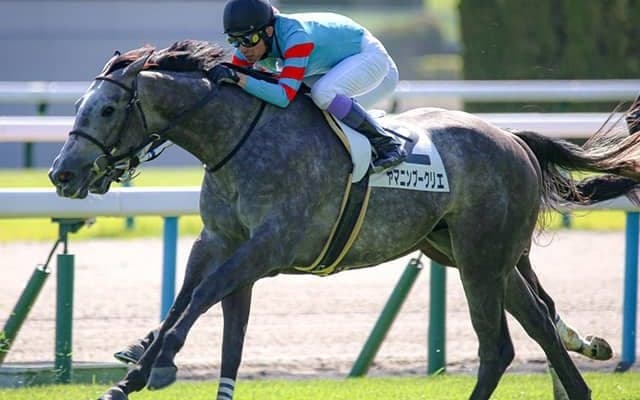 【ホープフルS】2歳世代が好調の錦岡牧場 ヤマニンゼファー以来31年ぶりGI制覇なるか