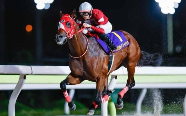 【大井・東京大賞典枠順】フォーエバーヤングは4枠4番、ウィルソンテソーロは2枠2番