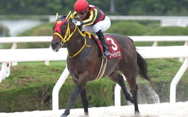 【園田・兵庫GT注目馬】実力拮抗で全頭に上位進出のチャンスあり？ 大混戦模様のハンデ重賞