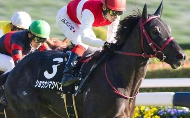 名馬イクイノックスのいとこ ホープフルSで厩舎・牧場にビッグタイトルをもたらすか