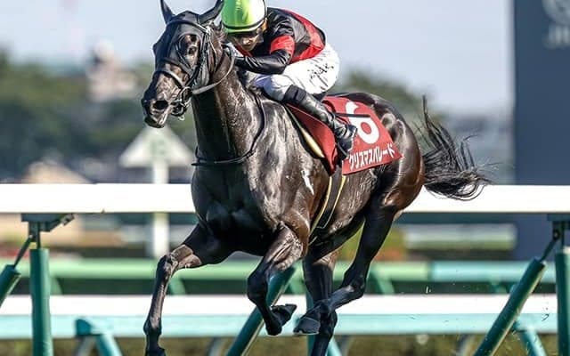 【中山金杯想定】クリスマスパレード、シンリョクカなど22頭