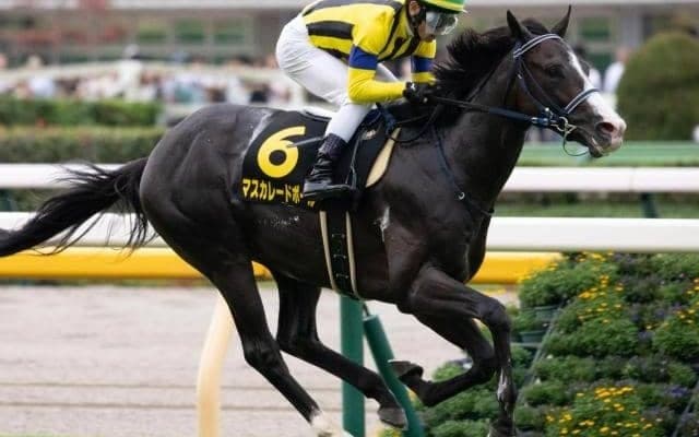 今秋無念の引退となったマスクトディーヴァの悔しさを晴らすか ホープフルSに半弟が挑む