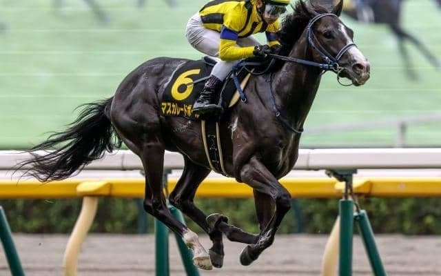 【ホープフルS予想】伏兵の好走目立つも人気馬を軽視できない一戦 AIの推奨は無傷で臨む人気の一角