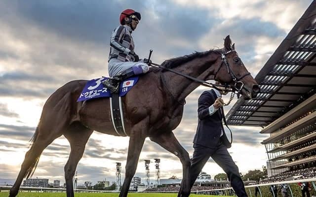 ドウデュースの競走馬登録を抹消 25日付で