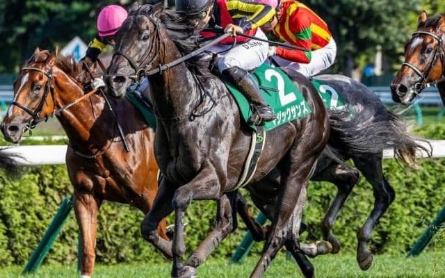 今年重賞3勝と数字残した気鋭の若手騎手 ホープフルSでGI初制覇狙う