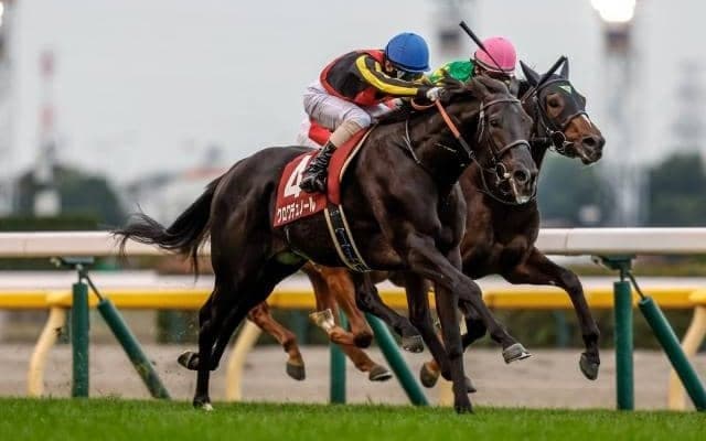 【ホープフルS枠順確定】クロワデュノールは3枠6番、マスカレードボールは8枠18番