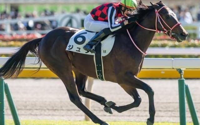 史上最高価格のJRA・GI勝ち馬へ 矢作厩舎の3.2億円馬がホープフルSで無敗戴冠狙う