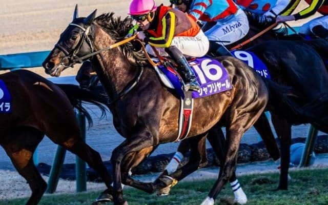 シャフリヤールが競走馬登録を抹消 21年日本ダービー、22年ドバイSCとGI・2勝