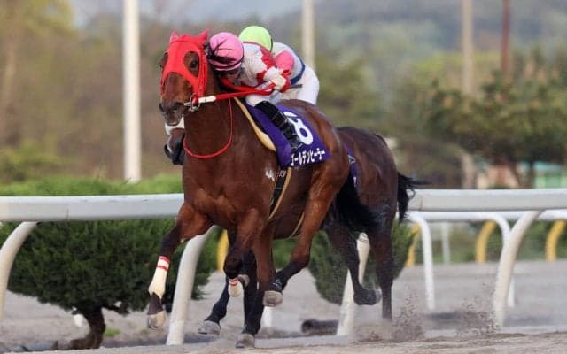 【岩手競馬】ゴールデンヒーラーの引退式