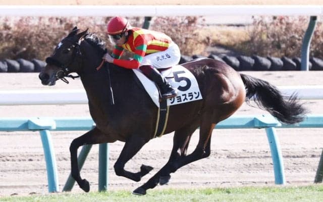 【新馬/中山5R】エフフォーリア半妹 ジョスランがデビューV