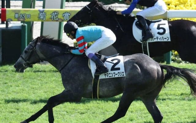 【ホープフルS】JRA・G1完全制覇がかかる武豊騎手は4枠7番ヤマニンブークリエとのコンビ