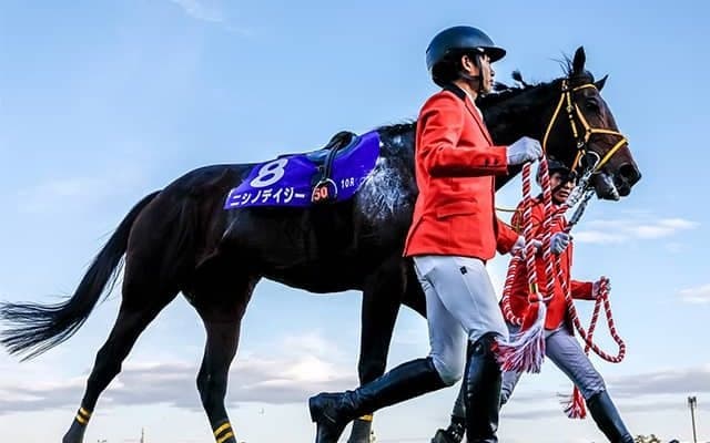障害GI・2勝のニシノデイジーが登録抹消 今後は西山牧場で種牡馬に