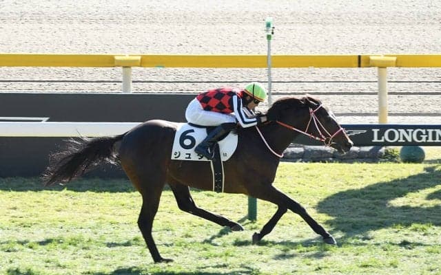 【競馬予想】ＧＩホープフルＳは200万馬券の再現か!?　穴党記者が高配当の使者に抜擢した伏兵２頭