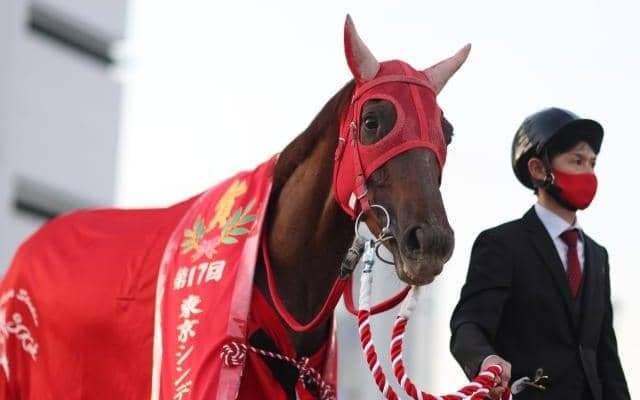 【大井・東京シンデレラマイル枠順】ラストランのスピーディキックは7枠13番