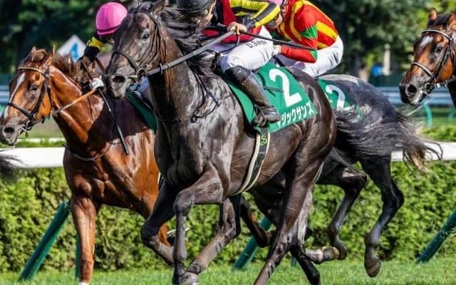 【ホープフルS予想】調整の難しい冬場は前走からの間隔が重要!? 重賞勝ち馬に不安要素も