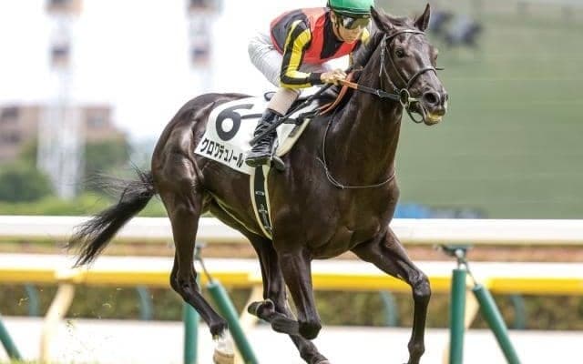 【ホープフルS前日オッズ】クロワデュノールが2.1倍で1番人気