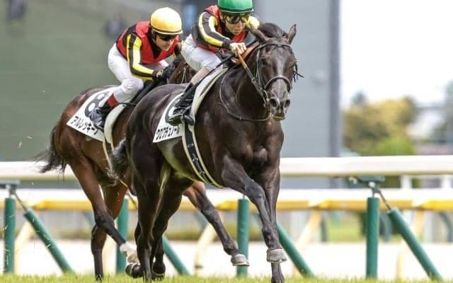 【AI予想・ホープフルS】2歳中距離王決定戦は関西馬が圧倒！ 前回以上のパフォーマンスに期待できそうな人工知能の本命とは