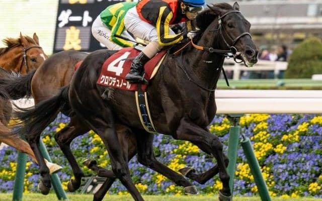 霜降り明星・粗品がホープフルS的中狙う 「怪物クラスやと思っている」と無敗制覇に期待したのは