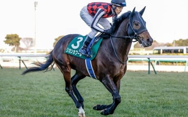 【中山金杯想定馬・騎手】リカンカブール、ラーグルフなど24頭