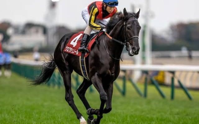 【今日の注目ポイント】中山で2歳中距離王決定戦ホープフルS