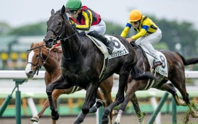 【ホープフルS予想】ペースの見極めがカギに 来年のクラシックへ向けた重要な一戦