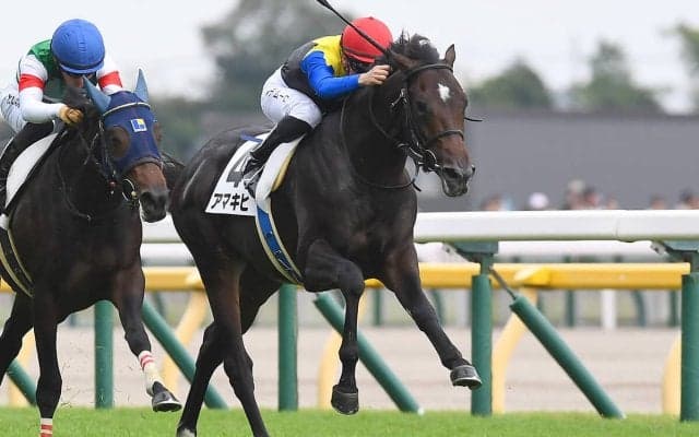 【競馬予想】２歳ＧＩホープフルＳで狙うべき２頭 過去の実績がずば抜けている騎手と厩舎